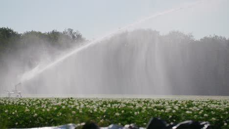 Wasserkanone-Auf-Einem-Blumenfeld,-Das-In-Superlangsamer-Bewegung-Eine-Große-Menge-Wasser-Auf-Das-Feld-Sprüht