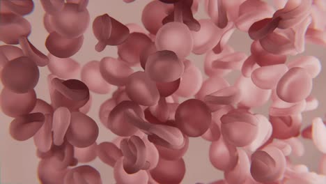 Gruppe-Von-Roten-Blutkörperchen-In-Digitalem-3D-Rendering
