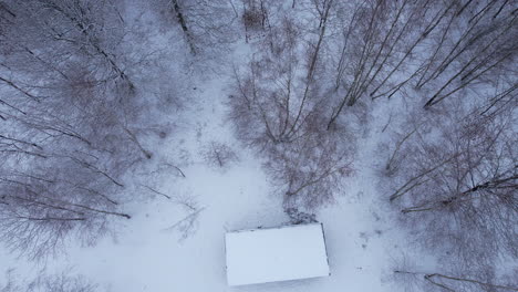Top-down-aerial-rooftop-between-trees-inside-forest