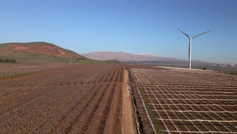 Low-level-drone-shot,-vineyard-fields-and-wind-turbine,-Valley-of-Tears,-Israel