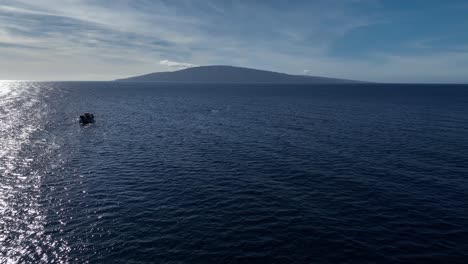 Maui-Whale-Watching-Boat-Approaching-Humpback-Whales-Swimming-Between-The-Hawaiian-Islands