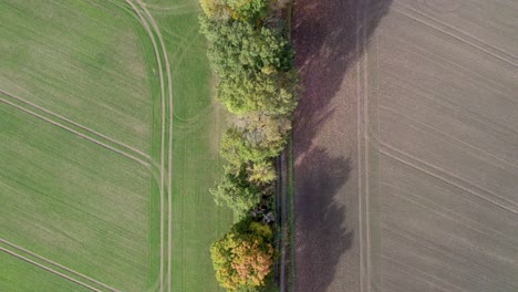 Top-view-drone-footage-of-country-road-and-tree-line-near-the-road-with-autumn-colors,-taken-at-place-called-Uetz-in-Brandenburg,-Germany