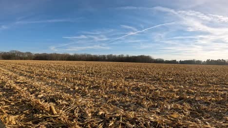 Rear-point-of-view---driving-through-a-harvested-corn-field-late-Autumn-in-the-American-Midwest