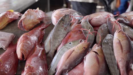Mahe-Seychelles-variety-of-fishes-on-the-town-market-in-Victoria