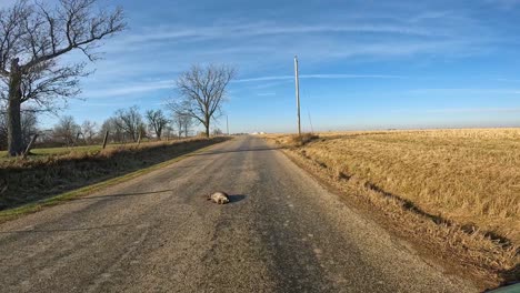 Point-of-view---driving-on-rural-country-road-past-empty-fields-in-late-Autumn
