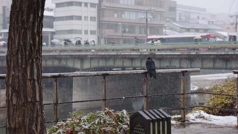Snow-Falls-over-Kyoto-Japan-on-a-Winter-Day,-Crow-Watches-People-Crossing-Bridge