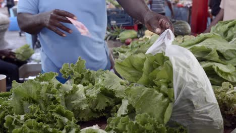 Man-selling-lettuce-salad-with-tourist-inside-the-town-market-on-a-Saturday-morning,-woman-paid-with-the-local-currency