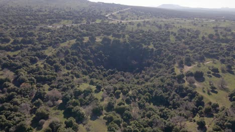 Drone-panning-view-of-volcanic-crater-overgrown-with-trees,-Big-Jupta,-Israel