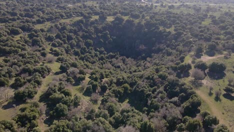 Drone-shot-pushing-in-on-volcano-crater-overgrown-with-vegetation,-Big-Jupta,-Israel