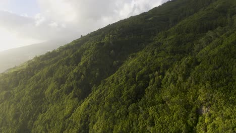 lush-green-dramatic-cliffs-of-an-island,-São-Jorge-island,-the-Azores,-Portugal
