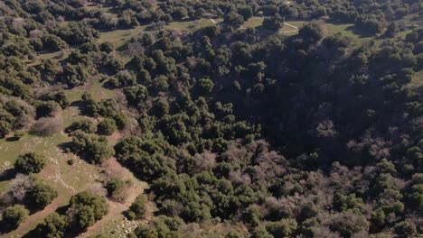 Flyover-aerial-view-of-Big-Jupta-deep-volcano-pit-crater,-Golan-Heights,-Israel