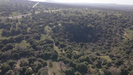 Aerial-view-drone-pulling-away-from-volcano-crater-with-trees,-Big-Jupta,-Israel