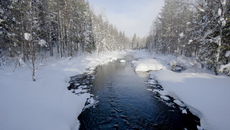 Calm-River-between-snowy-trees,-sunny,-winter-day,-in-Lapland---static-view