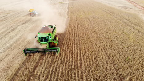 Agricultural-tractor-harvesting-soybeans-in-the-field