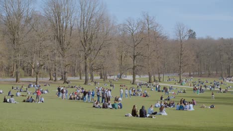 People-relax-on-the-green-lawn-in-Bois-de-La-Cambre-park-in-Brussels,-Belgium