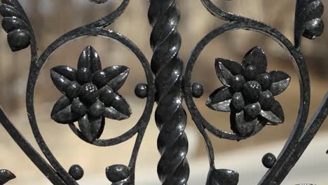 Beautiful-closeup-of-a-black-steel-gate-with-floral-designs-in-it-which-is-part-of-the-steel-gate-that-surrounds-Parliament-Hill-in-Ottawa,-Ontario,-Canada
