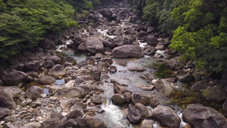 Pure-mountain-stream-on-Yakushima-Island,-Japan