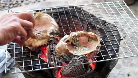 Cooking-fresh-crab-pieces-on-hot-charcoal-grill,-close-up-view