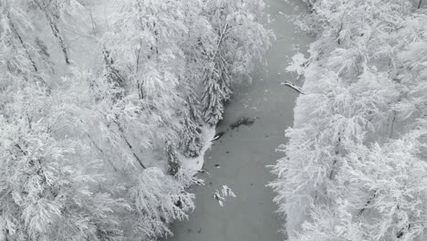 Frozen-Stream-At-The-Center-Of-Snow-Covered-Trees-At-A-Forest-In-Poland---aerial-shot