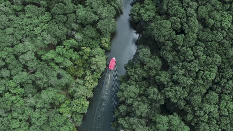 Aerial-view-of-small-boat-in-the-river,-surrounded-by-forest-from-both-sides