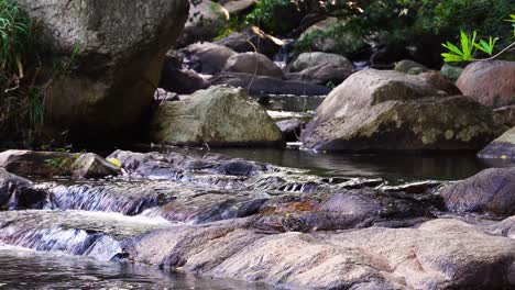 Shallow-rocky-bottom-river-flow-among-boulders,-zen-natural-pristine-scenery