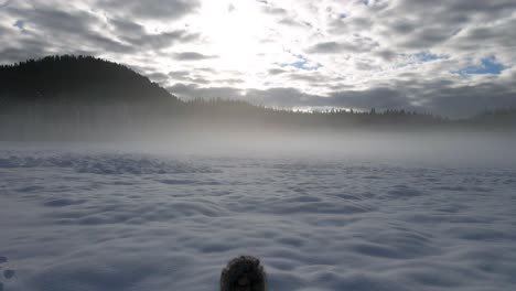 Luft-Dolly-Push-In-Richtung-Einsame-Person-Tief-Kalt-Winter-Schnee-Nebel-Hügel-Tag