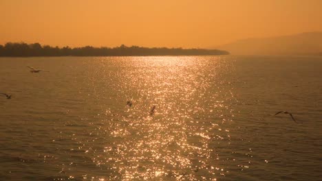 Establishing-static-shot,-sea-birds-flying-over-the-bay-of-Bengual-at-sunset,-Saint-Martin