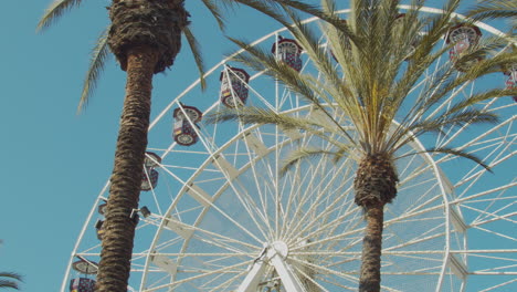 Ferris-wheel-and-palm-trees-in-blue-sky