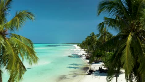 Palm-trees-on-sandy-beach-with-crystal-clear-blue-water,-Maldives