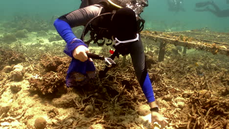 Scuba-Diver-Collecting-Trash-Under-The-Sea.-underwater
