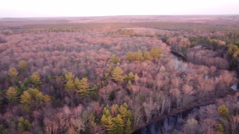 Beautiful-autumn-forest-landscape-of-Leota,-Michigan--aerial-pan