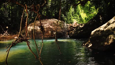 A-man-swimming-in-a-pond-hidden-in-the-forest-during-a-break-from-trekking-in-a-National-Park