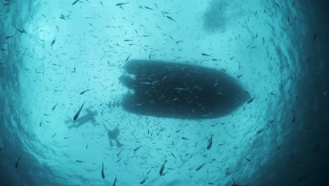 Einzigartige-Unterwasserfotografie-Perspektive-Snells-Fenster-Eines-Großen-Bootes-Mit-Schnorchlern,-Die-Im-Klaren-Blauen-Wasser-Mit-Massen-Von-Fischschwärmen-Schwimmen-Und-Treiben