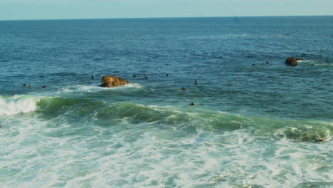 Surfer-Im-Wasser-Auf-Ihren-Brettern,-Die-Darauf-Warten,-Eine-Welle-Vor-Der-Küste-Kaliforniens-Zu-Erwischen