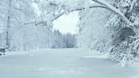 AERIAL---Frozen-lake-in-a-snowy-forest-in-Sweden,-wide-shot-forward