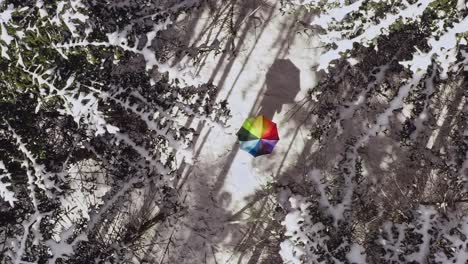 Slow-aerial-rising-shot-looking-down-at-a-rainbow-colored-umbrella-in-a-white-winter-landscape-of-a-clean-forest-as-color-contrast