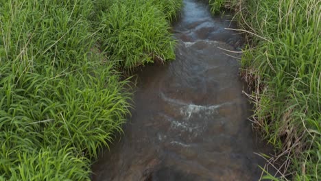 Small-creek-flowing-through-grass,-tilt-revealing-rural-bridge,-Japan