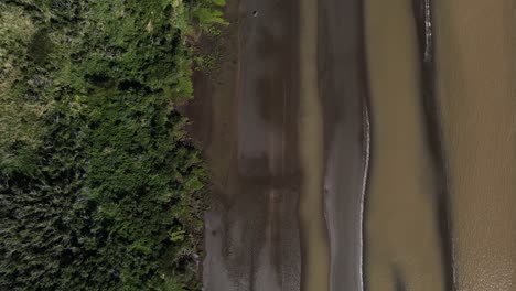 Aerial-top-down-view-across-the-unspoiled-nature-El-Destino-wet-sand-riverbank-and-wetland-vegetation-in-Buenos-Aires
