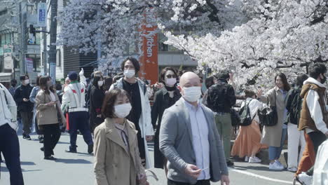 Japanese-People-Wearing-Face-Masks-While-Attending-Hanami-In-Tokyo-Amidst-The-Risk-Of-Coronavirus-Disease