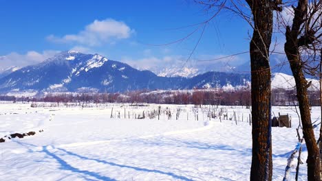 Snow-White-in-kashmir-covered-hills-mountains-plants-valley