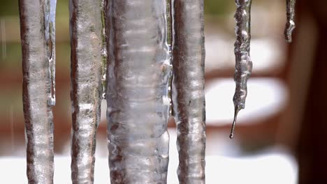 Close-up-of-a-group-of-hanging-icicles-on-the-deck-of-a-home-with-water-melting-and-running-down-the-ice-and-dripping-of-the-points