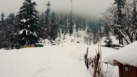 Snow-landscape-in-kashmir,-kashmir-looks-beautiful-during-white-fresh-snow