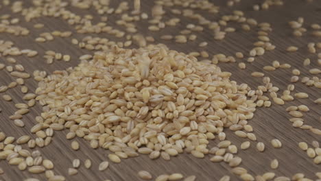 Gerste-Getreide-Weizen-Saatkorn
