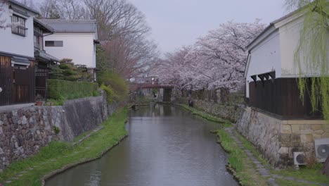 Hachiman-Moat-in-Shiga-Prefecture,-Japan