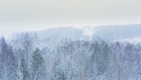 Antenne---Starker-Schneefall-Im-Winter-In-Einem-Wald,-Schweden,-Aufsteigender-Weitschuss