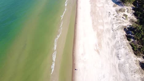 Couple-walking-on-sandy-coastline-of-Baltic-sea,-aerial-view