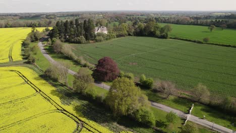 Aerial-Spring-Season-Yellow-Flower-Rapeseed-Field-Warwickshire-Landscape