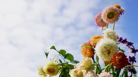 Beautiful-flowers-against-blue-sky-background