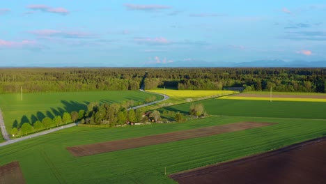 Vivid-springtime-landscape-aerial-view-over-a-forest-and-fields-while-a-car-is-passing-by-the-road-fast