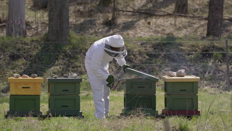 BEEKEEPING---Beekeeper-smokes-beehives-to-prevent-aggression,-slowmo-wide-shot